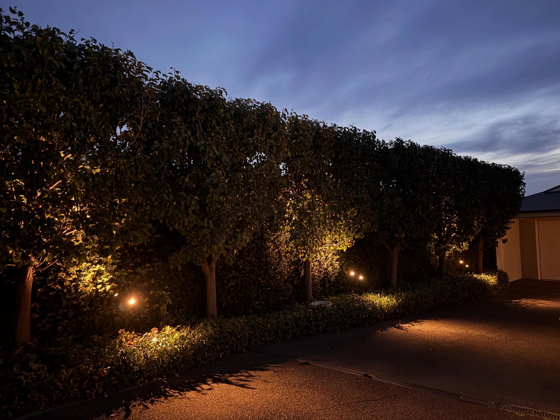 Garden & landscape lighting — East Melbourne